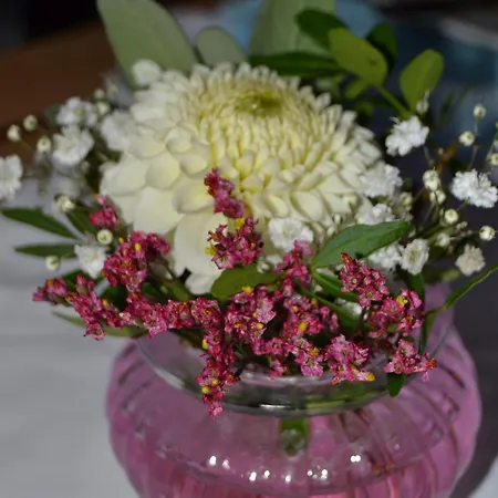 Weinhaus Steppe Hotel 3***Superior Und Weinstube 3*