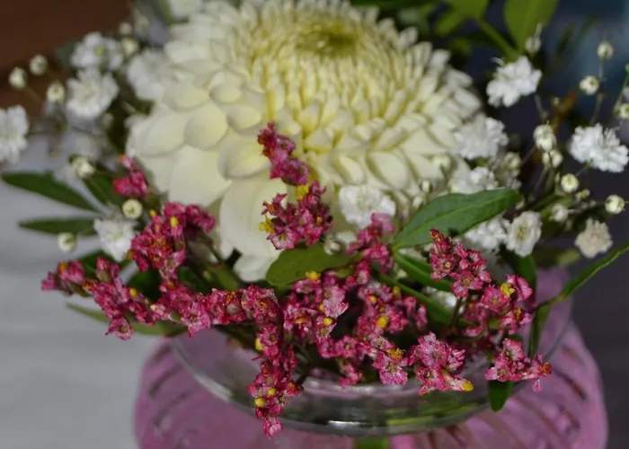 Weinhaus Steppe 3***superior Und Weinstube 3*